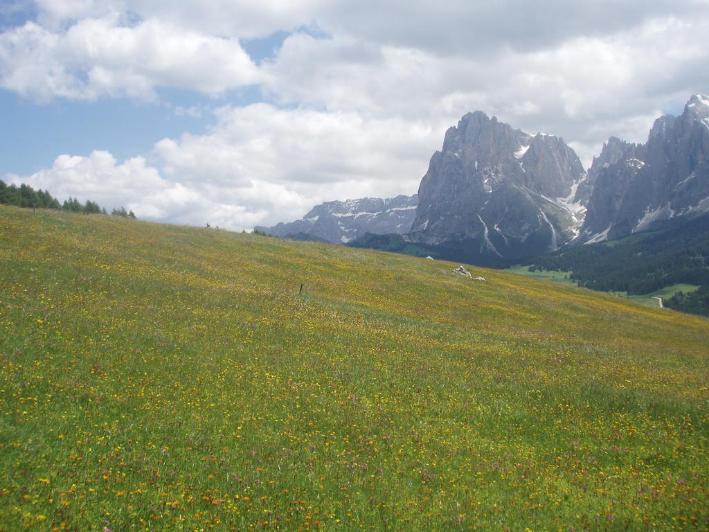 Garni La Majon Hotel Selva di Val Gardena Bagian luar foto