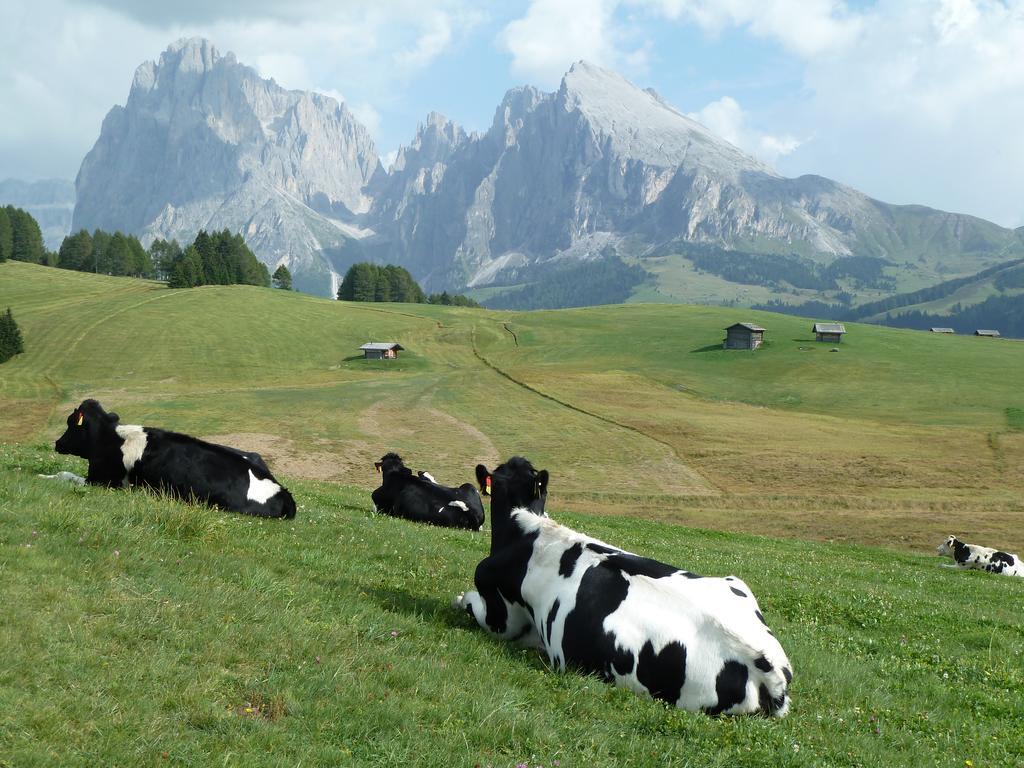 Garni La Majon Hotel Selva di Val Gardena Bagian luar foto