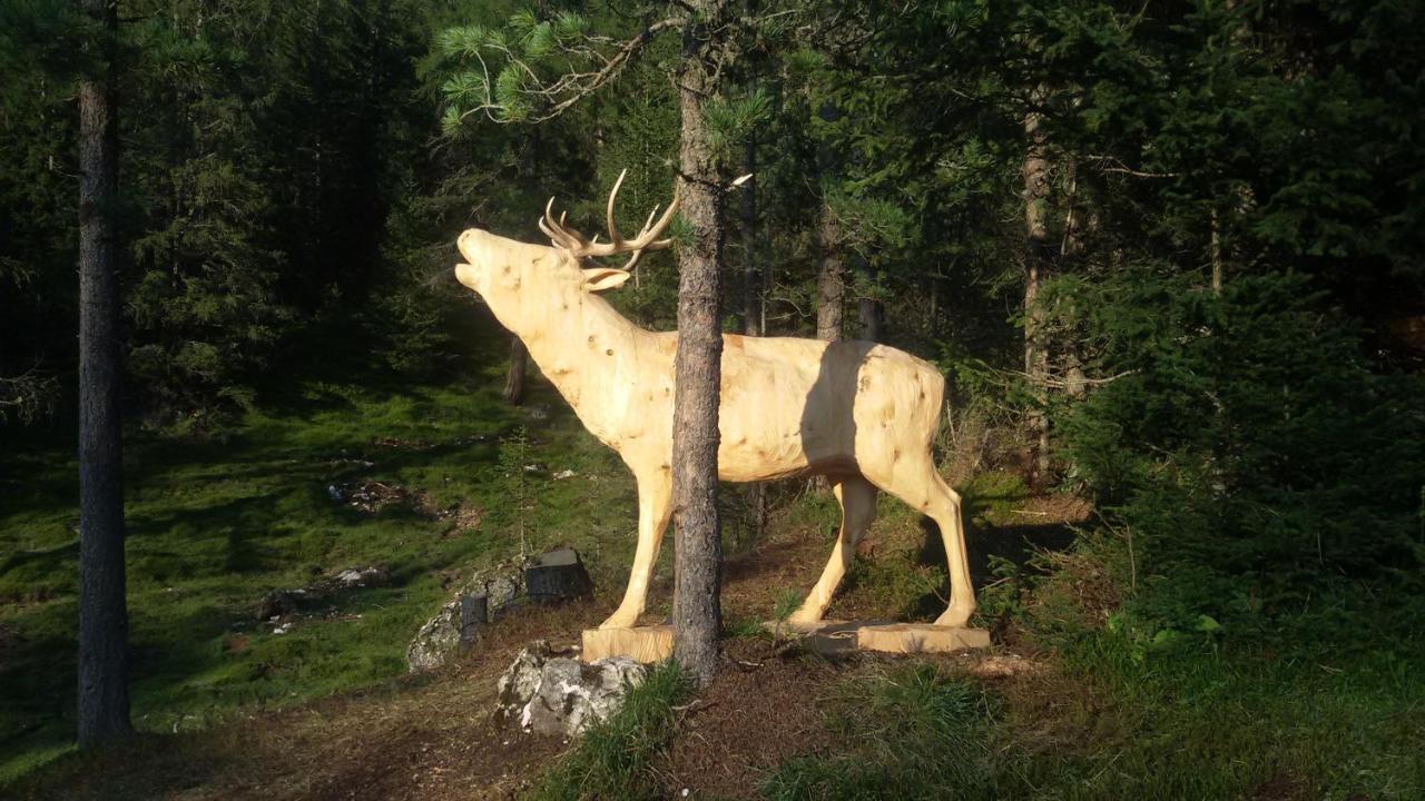 Garni La Majon Hotel Selva di Val Gardena Bagian luar foto